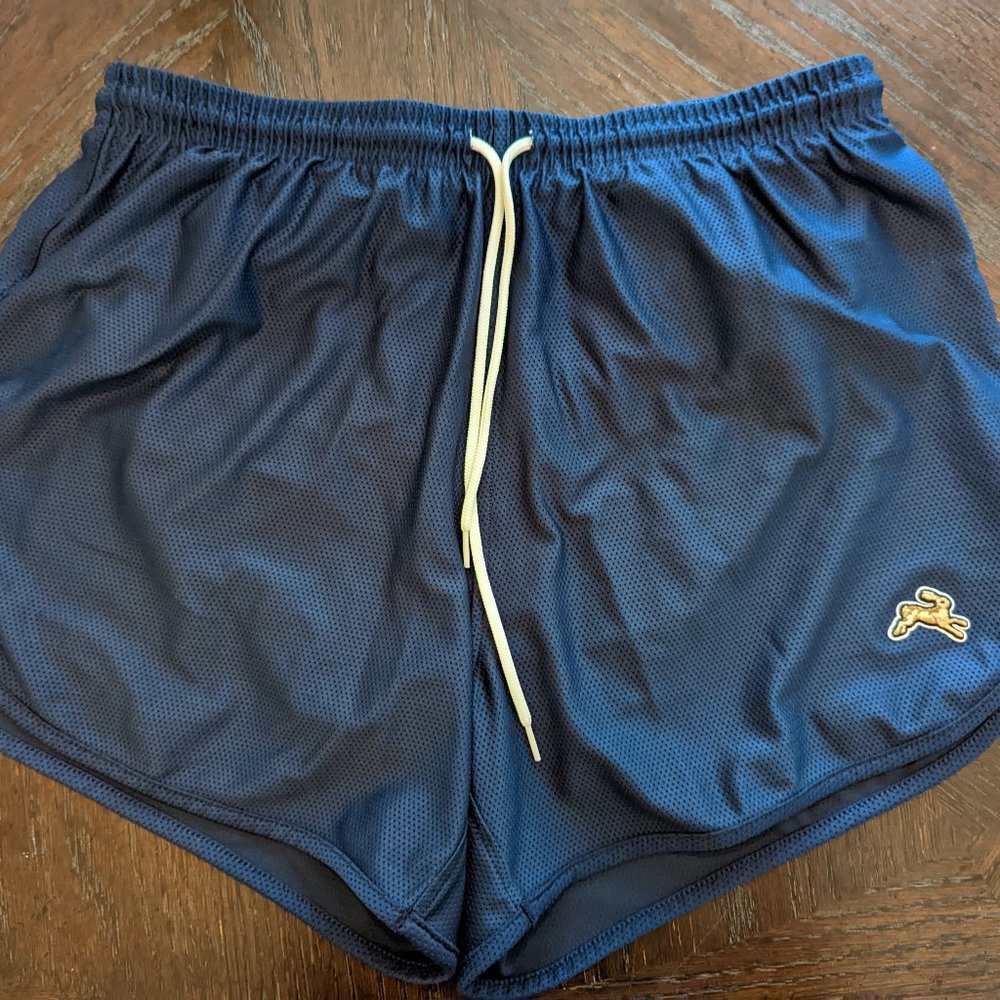 2 Pairs: Tracksmith Shorts